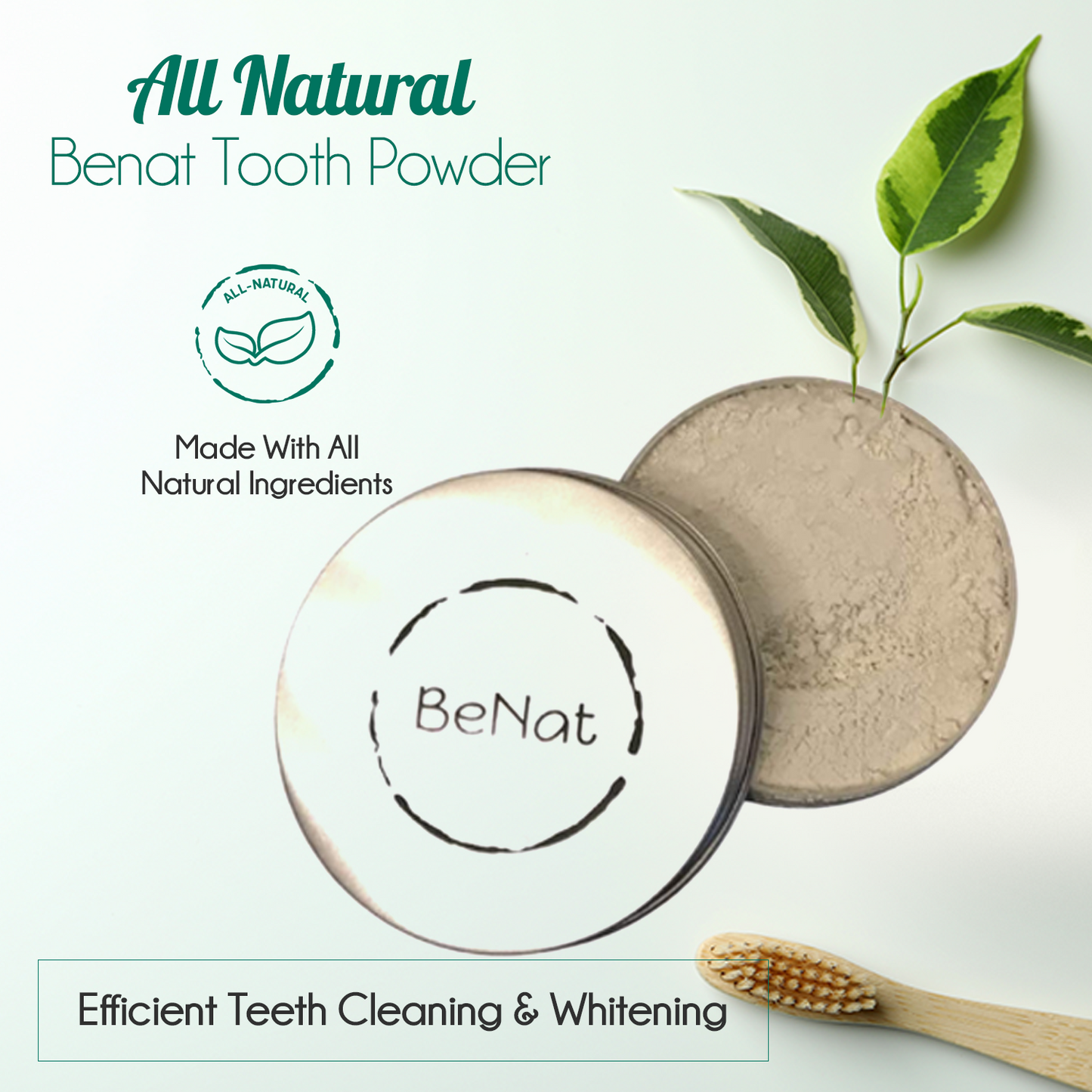 Natural Tooth Powder Antiseptic Enamel Guard Eco Conscious
