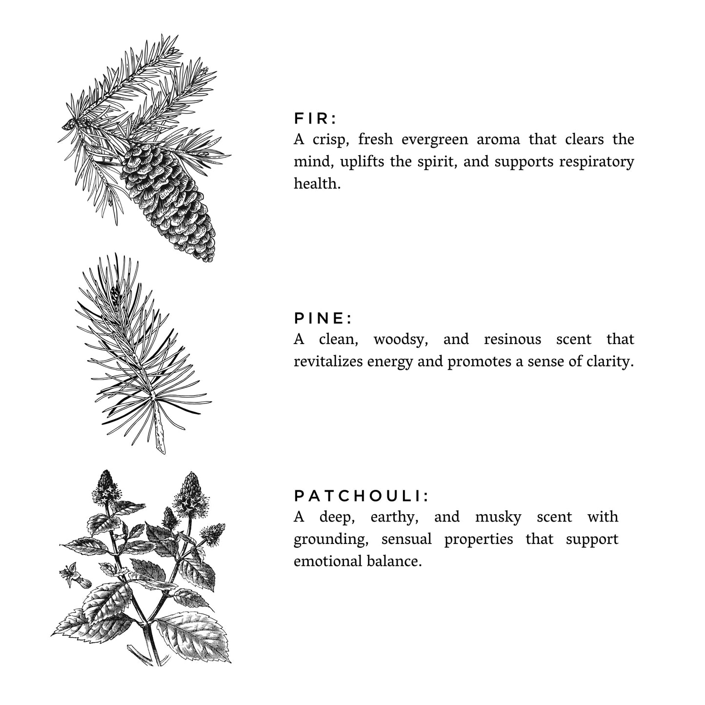 Forest Bathing Candle Earthy Tranquility For Nature Lovers