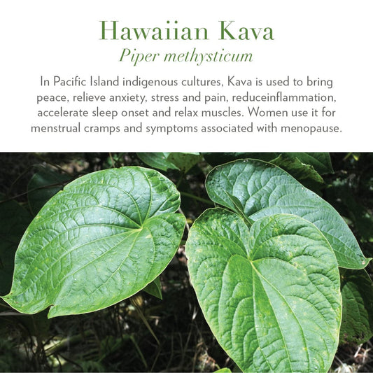 Ease Hawaiian Kava gummies by Rosebud Woman in glass jar with kava leaves – Zenava
