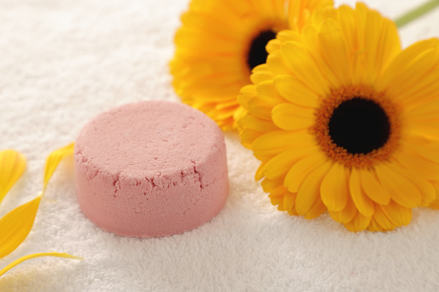 All Natural Shampoo Bar Zero Waste Eco Conscious Haircare